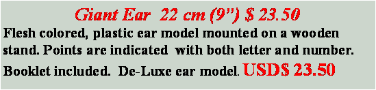 Text Box: Giant Ear  22 cm (9) $ 23.50Flesh colored, plastic ear model mounted on a wooden stand. Points are indicated  with both letter and number. Booklet included.  De-Luxe ear model. USD$ 23.50