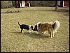 P4250080.JPG