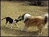 P4250081.JPG