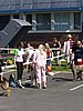 P1010047.jpg