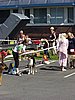 P1010048.jpg