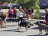 P1010055.JPG