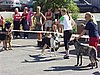 P1010062.JPG