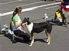 P1010068.JPG