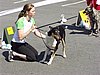P1010070.JPG