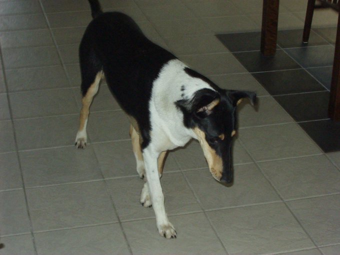 PA310030.JPG