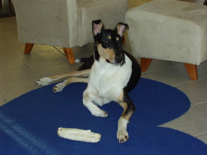 PB140035.JPG