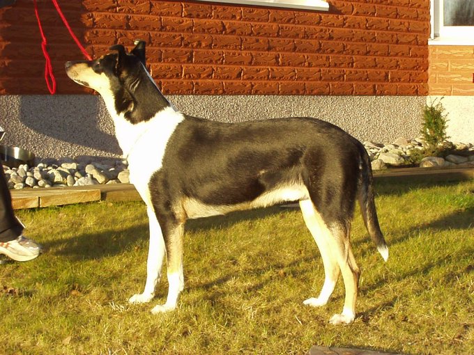 PB140043.JPG