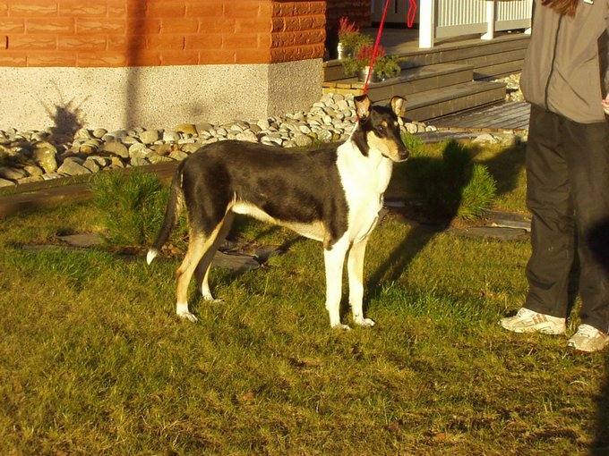 PB140046.JPG