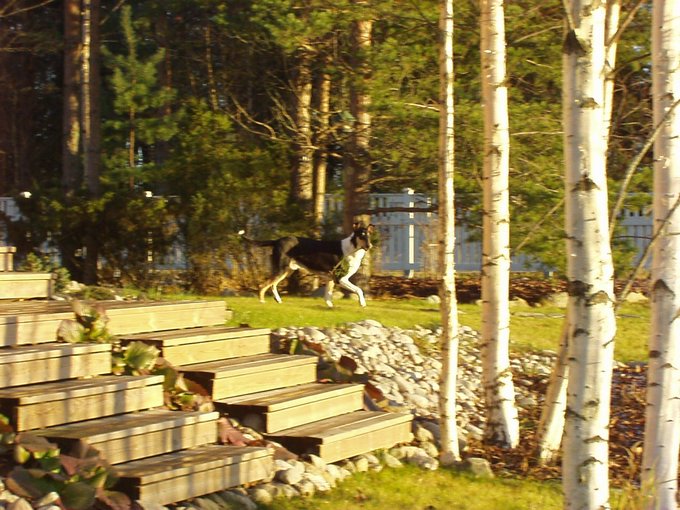 PB140076.JPG