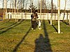 PB140055.JPG