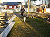 PB140062.JPG