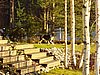 PB140076.JPG