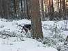 P1150092.JPG