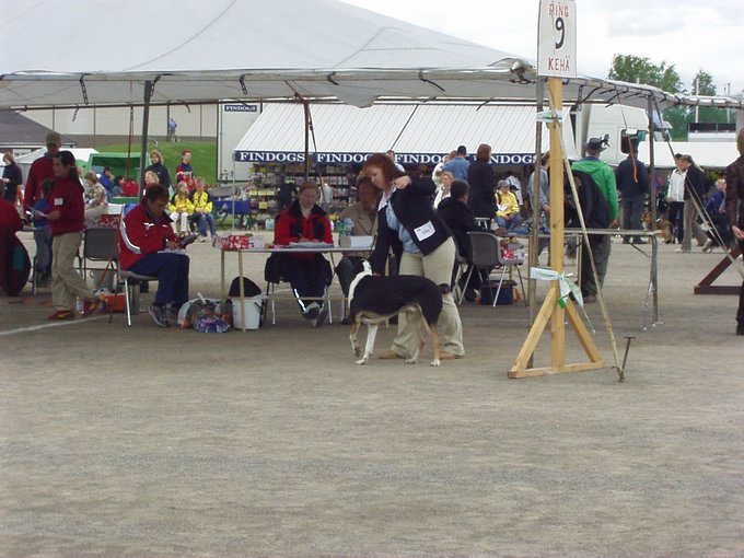 P1010081.JPG