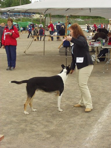 P1010096.jpg
