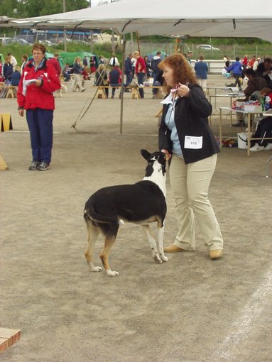 P1010097.jpg