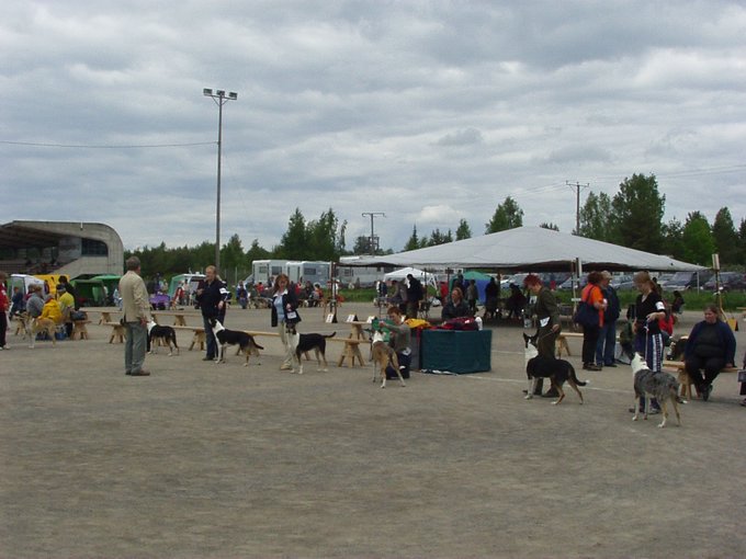 P1010101.JPG