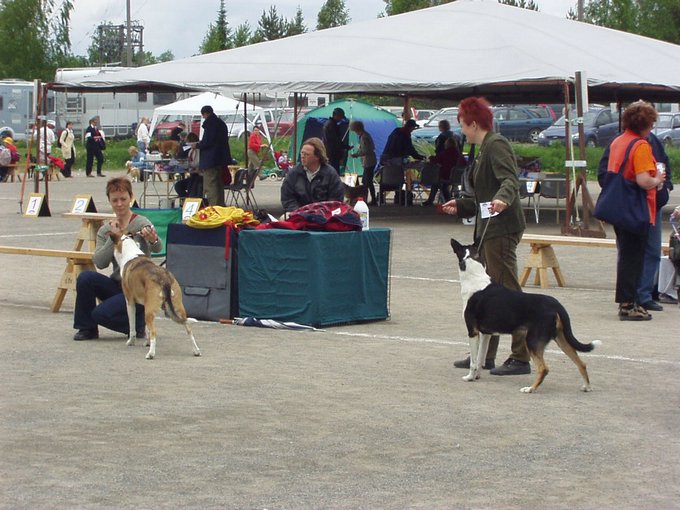 P1010104.JPG