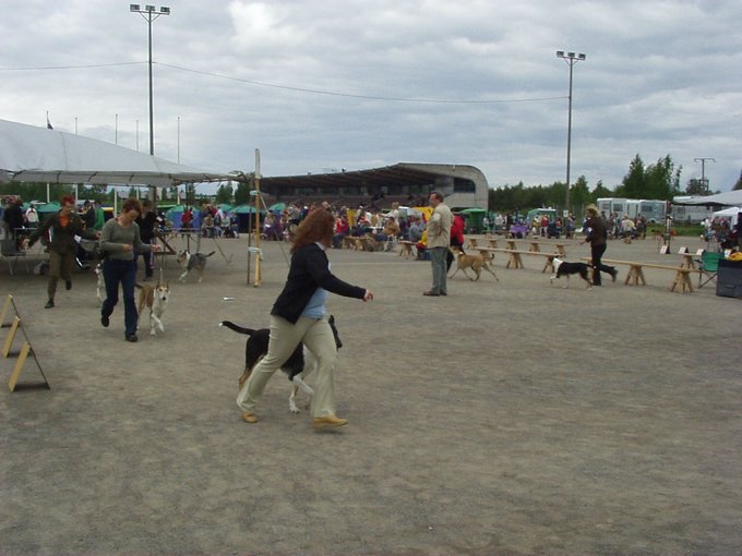 P1010105.JPG
