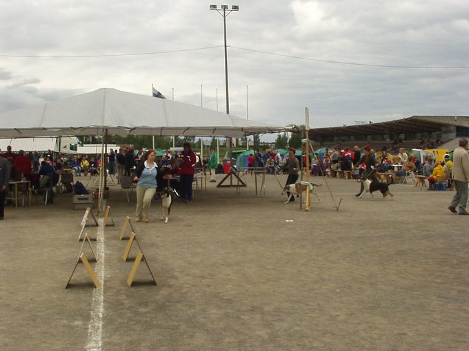 P1010106.JPG