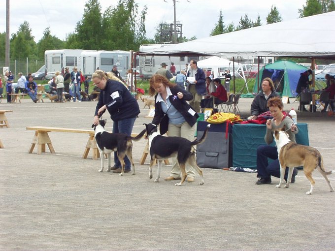 P1010107.JPG