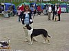 P1010091.JPG