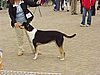 P1010092.JPG