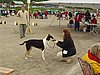 P1010093.JPG