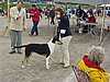 P1010094.JPG