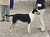 P1010095.JPG