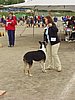 P1010097.jpg