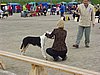 P1010098.JPG