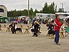 P1010100.JPG