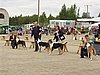 P1010102.JPG
