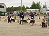 P1010103.JPG