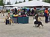 P1010104.JPG