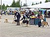 P1010107.JPG