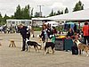 P1010109.JPG