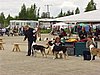 P1010110.JPG