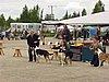 P1010111.JPG