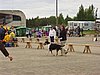 P1010112.JPG