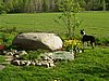 P5310029.JPG