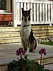 P5310043.jpg