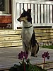 P5310044.jpg