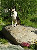 P6080050.jpg