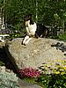 P6080052.jpg