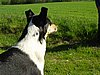 P6080054.JPG