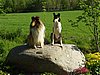 P6080059.JPG