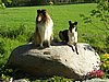 P6080061.JPG
